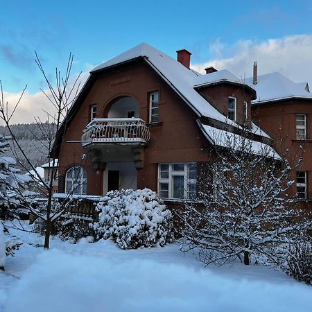 Apartman Teplice Nad Metuji Teplice nad Metují Exterior foto